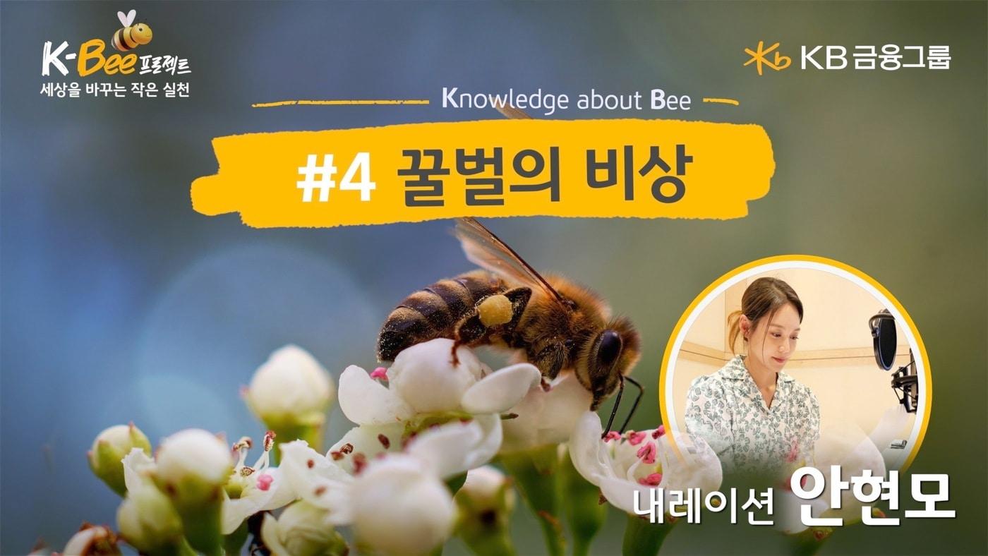 자료제공=KB금융그룹