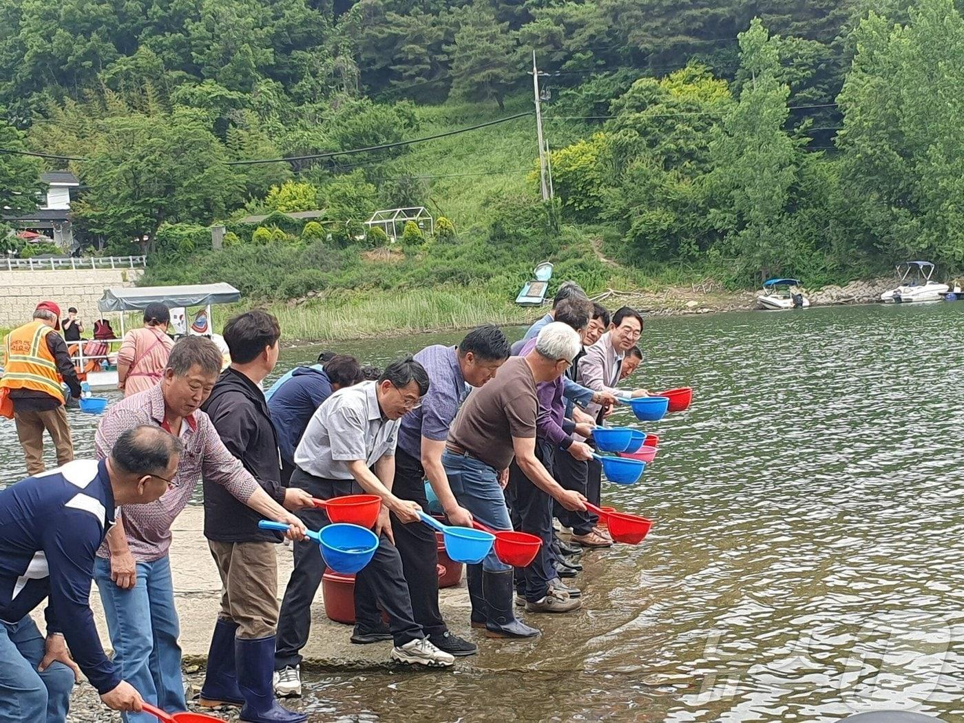 대청호에 뱀장어 치어를 방류하는 장면. &#40;옥천군 제공&#41; /뉴스1 