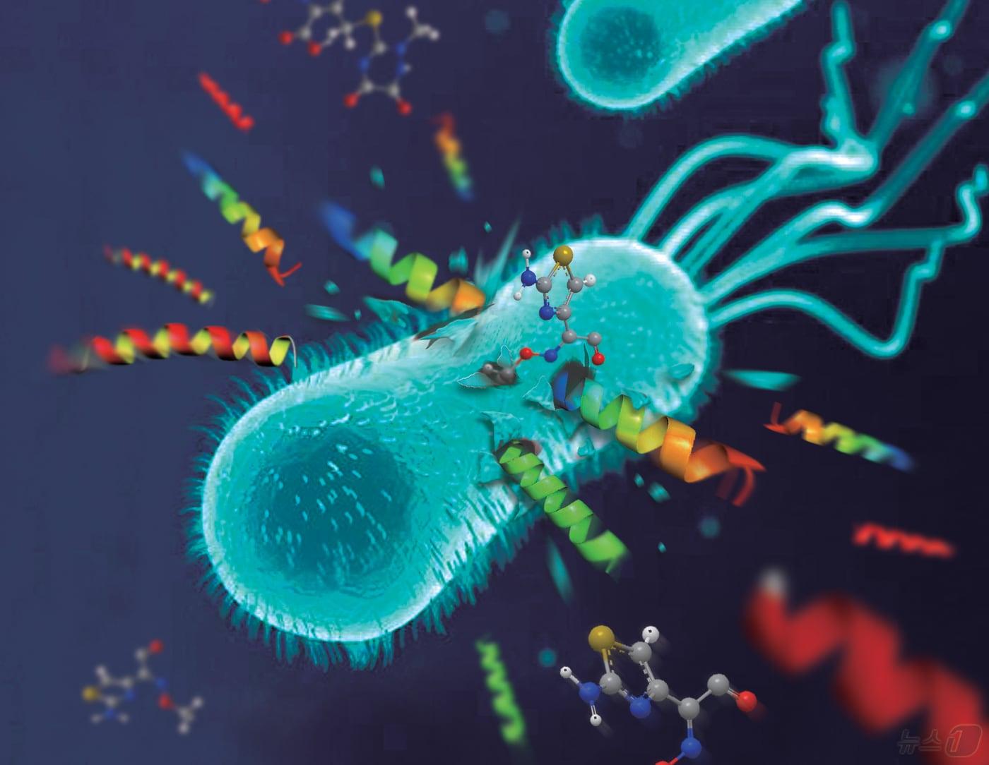 슈퍼박테리아에 적용 가능한 신규 펩타이드 신약 설계 이미지.&#40;조선대 제공&#41;2024.5.20./뉴스1