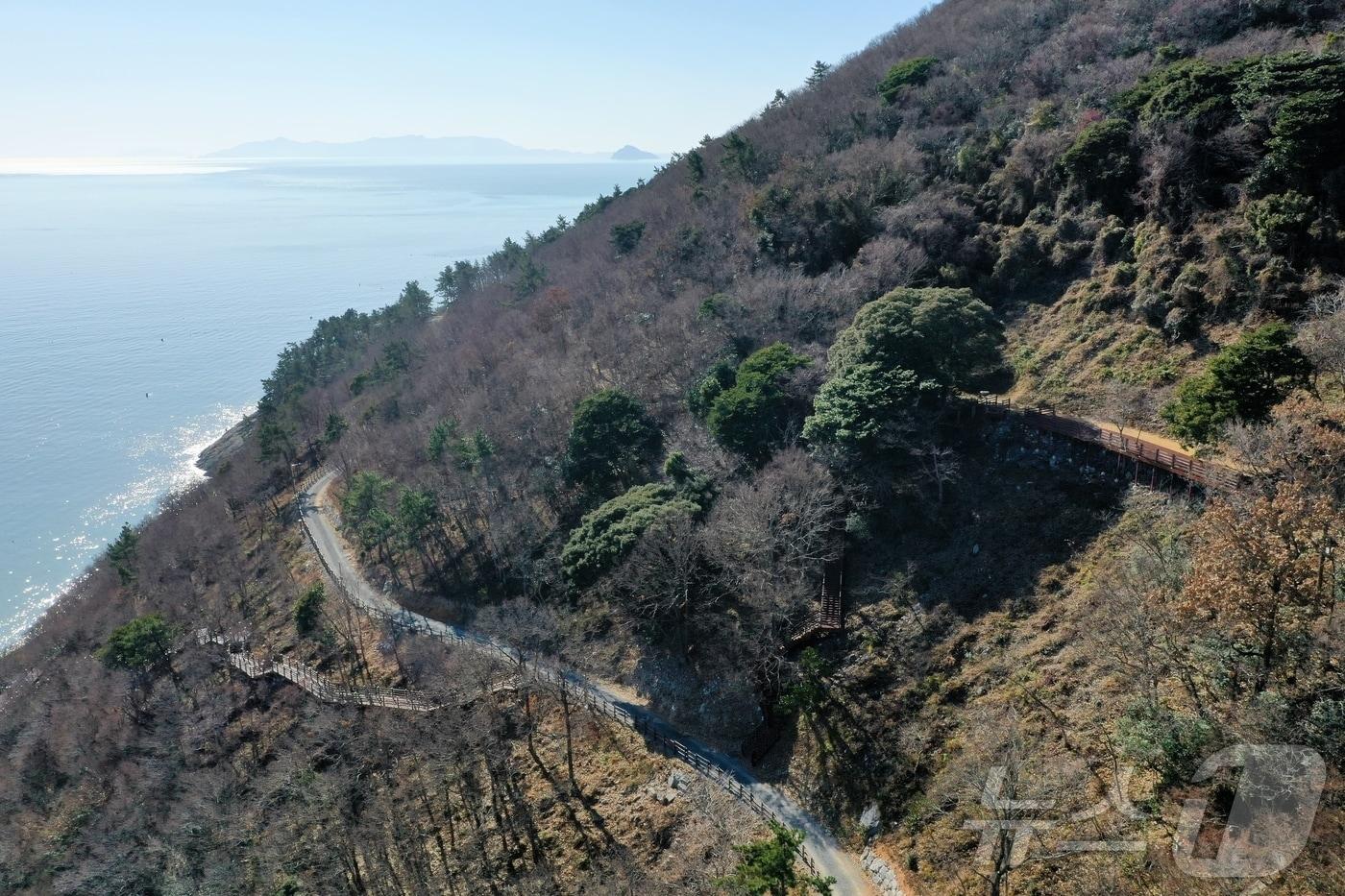 완도군 약산면 해동리 &#39;섬 숲 경관복원 사업&#39; &#40;완도군 제공&#41;/뉴스1 