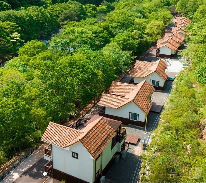 금산산림문화타운 무장애나눔길.&#40;금산군 제공&#41;/ 뉴스1