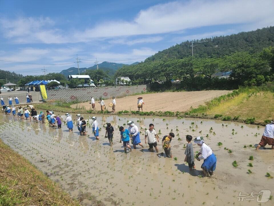 &lt;strong&gt;지산초&lt;/strong&gt;&#40;교장 박대진&#41;- 23일 지산민속전수관에서 학생과 지역주민들이 함께 참여한 가운데 &#39;남도들노래&#39;공연 관람과 모내기 체험을 했다. &#39;남도들노래&#39;는 진도군 지산면 인지리에서 전승되어 온 들노래로 국가지정 중요무형문화재 제51호이다.&#40;전남교육청 제공&#41;/뉴스1 