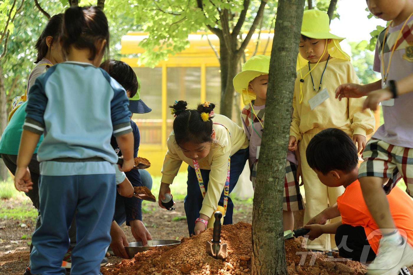 전북자치도 진안군이 조성한 유아숲체험원이 많은 관심을 받으며 성황리에 운영되고 있다.&#40;진안군제공&#41;2024.5.27/뉴스1