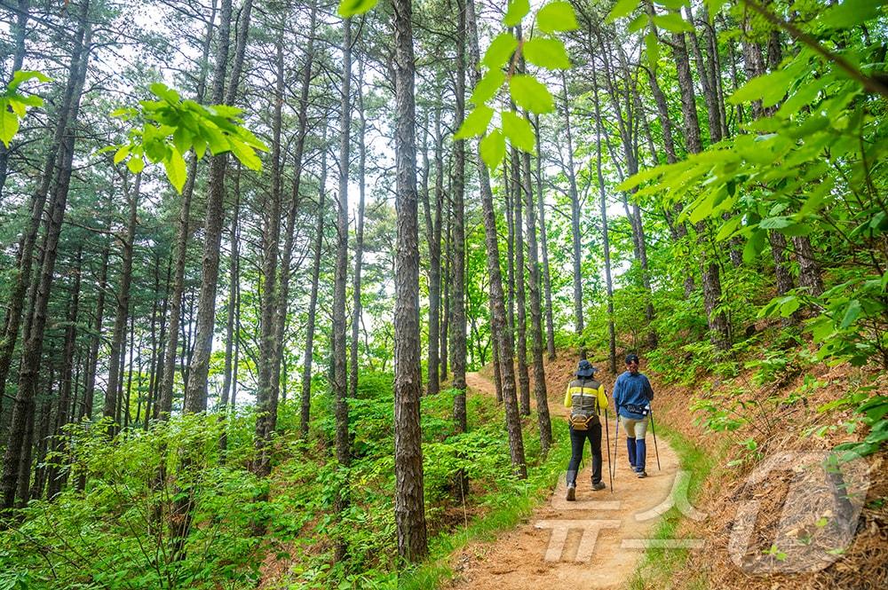 강원 원주시 치악산 둘레길 자료사진. &#40;원주시 제공&#41; 2024.5.27/뉴스1