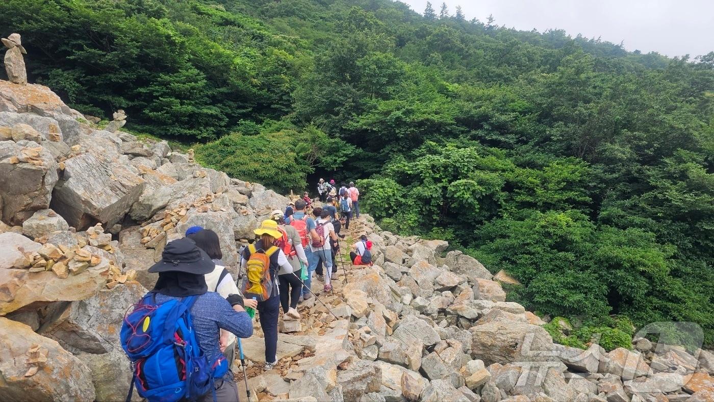 해남 달마고도와 코리아둘레길 워킹데이 운영 &#40;해남군 제공&#41;/뉴스1 