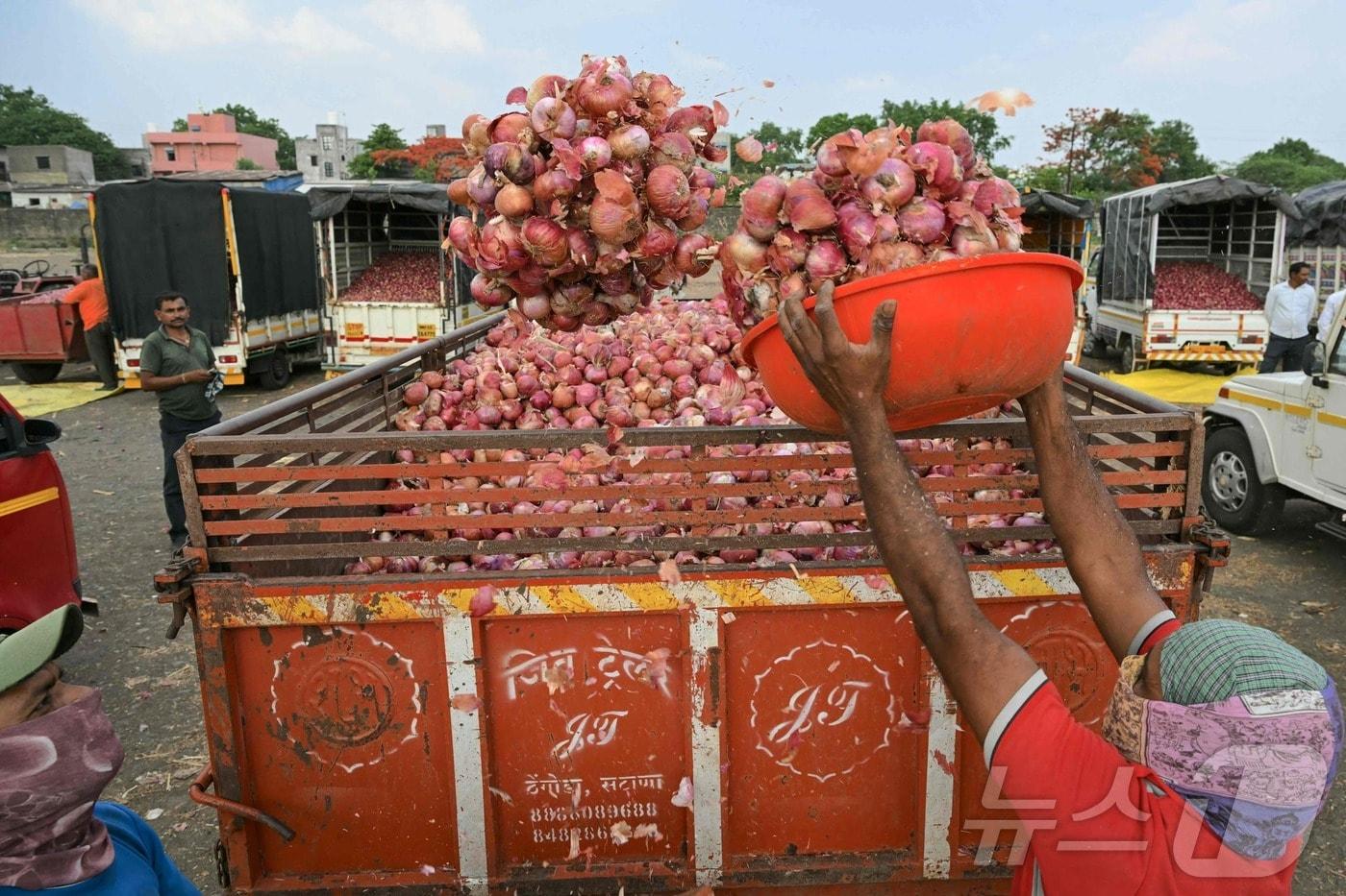 21일&#40;현지시간&#41; 농부들이 나시크의 한 시장에서 경매를 마친 후 양파를 트럭에 싣고 있다. 2024.05.21. ⓒ AFP=뉴스1 ⓒ News1 정윤영 기자