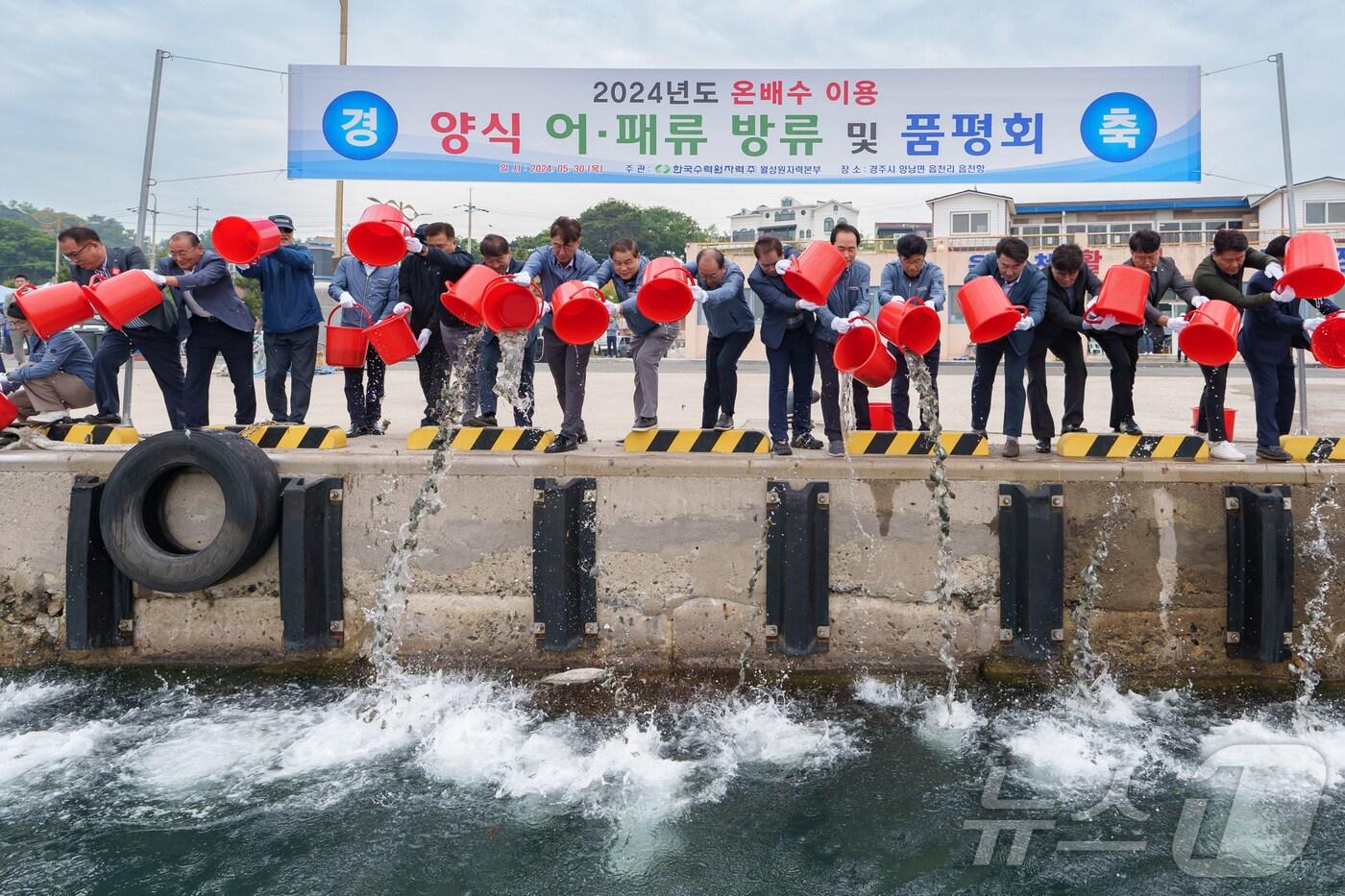 한국수력원자력&#40;주&#41; 월성원자력본부가 제29회 바달의 날을 맞아 원전 인근 양남면 읍천항에서 강도다리치어 6만 마리와 전복치패 등 총 12만미&#40;약 1억 8000만 원 상당&#41;을 방류했다고 31일 밝혔다. &#40;한수원 월성원자력본부제공&#41; 2024.5.31/뉴스1 