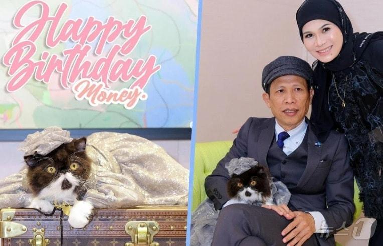 고양이 생일파티 - SCMP 갈무리