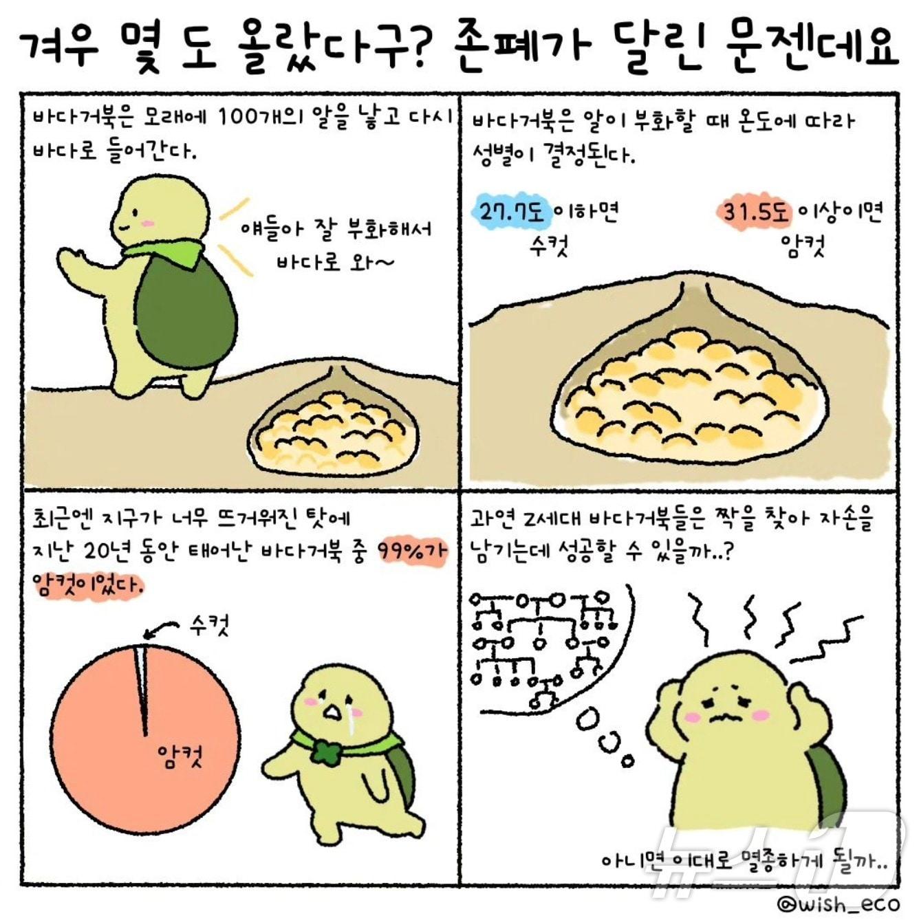 &#40;위시에코 인스타그램 제공&#41; ⓒ 뉴스1