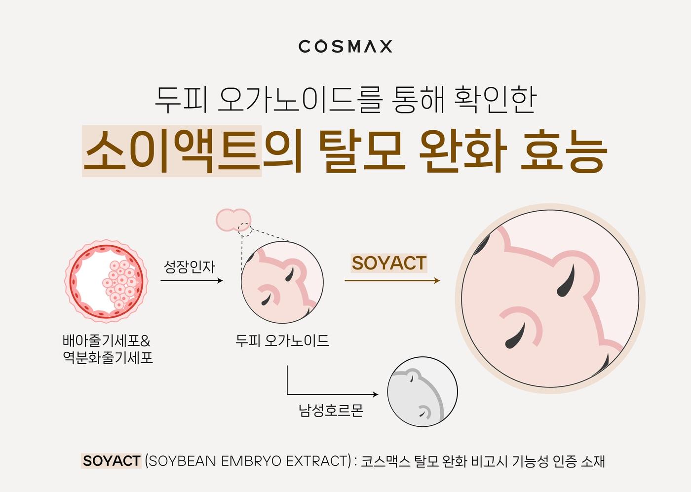 코스맥스는 국내 최초로 개발한 &#39;모발 및 모낭 모사 오가노이드 활용 남성형 탈모 평가법&#39;을 대중에 선보였다.&#40;코스맥스제공&#41;