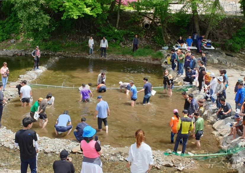 삼척 하장 두타산 산나물축제 자료사진.&#40;삼척시 제공&#41; 2024.5.7/뉴스1