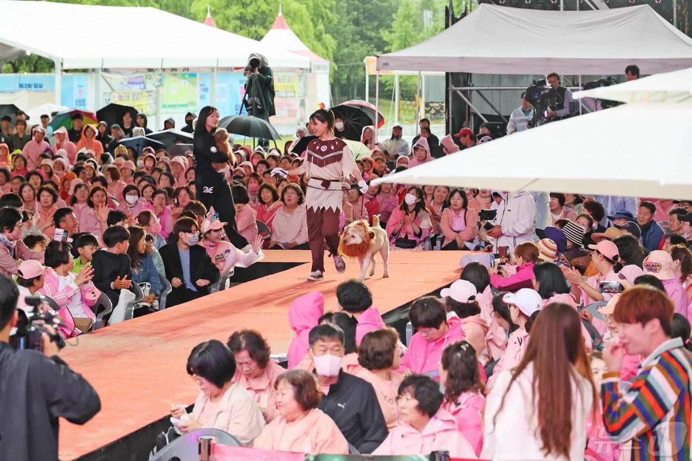 지난 4~6일 전북자치도 임실군에서 열린 반려동물 문화축제 ‘제39회 의견문화제와 함께하는 2024 임실N펫스타’가 성황리에 마무리됐다.&#40;임실군제공&#41;2024.5.7/뉴스1