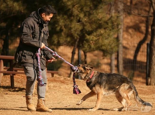 강형욱 훈련사의 반려견 레오의 생전 모습.&#40;인스타그램 갈무리&#41; ⓒ 뉴스1