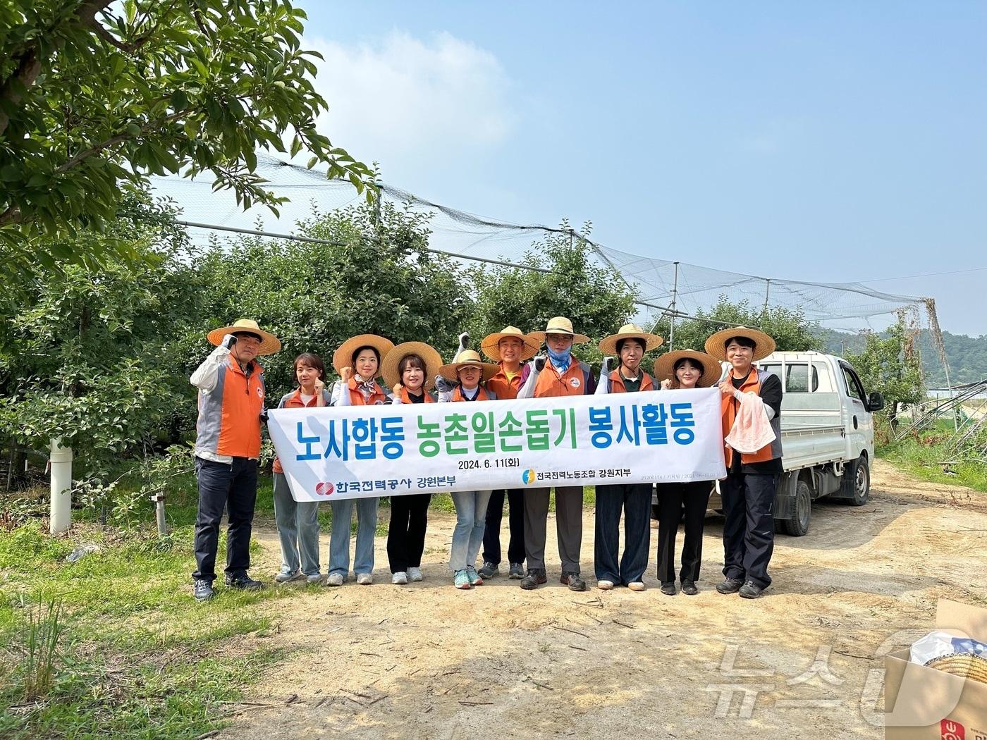 한국전력 강원본부가 11일 농촌 일손돕기 봉사활동을 펴고 있다.&#40;한국전력 강원본부 제공&#41;/뉴스1