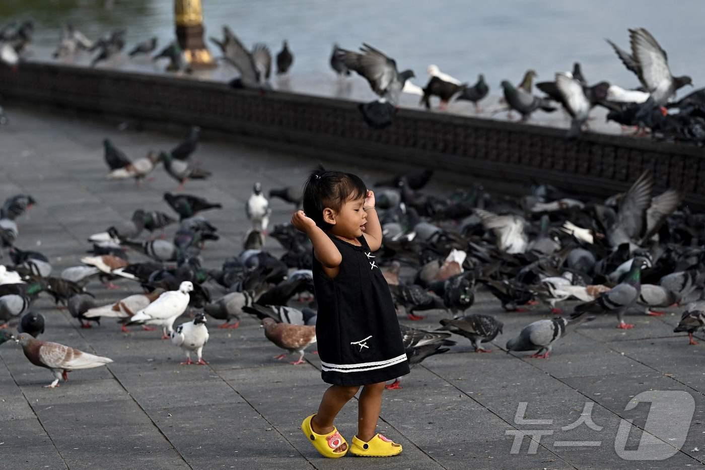 새들 사이를 걷고 있는 어린이. ⓒ AFP=뉴스1