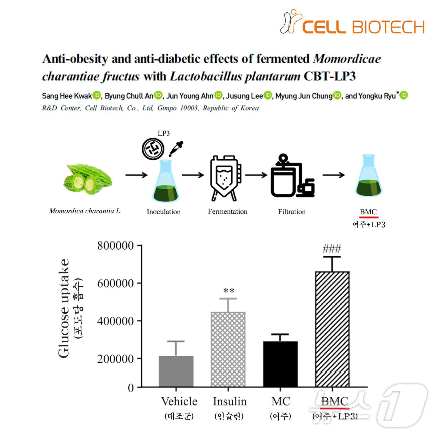 쎌바이오텍이 여주 열매의 항당뇨, 항비만 효과를 극대화하는 CBT 유산균을 발견했다.&#40;쎌바이오텍 제공&#41;/뉴스1 ⓒ News1