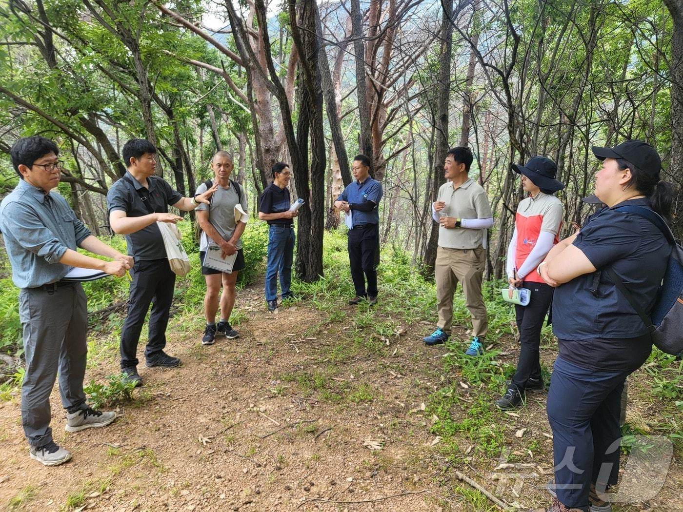 지리산 산불피해지 산림생태계 모니터링을 위한 전문가 현장토론회 모습. &#40;산림청 제공&#41;/뉴스1