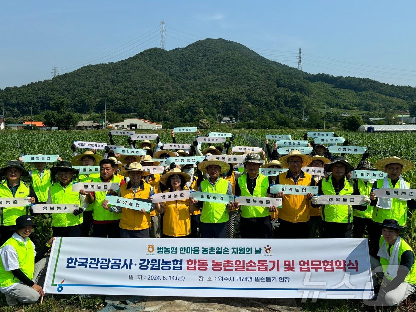 농협중앙회 강원본부와 한국관광공사는 14일 원주시 귀래면 소재 마 재배 농가에서 합동 농촌 일손 돕기를 실시했다.&#40;농협 강원본부 제공&#41;/뉴스1