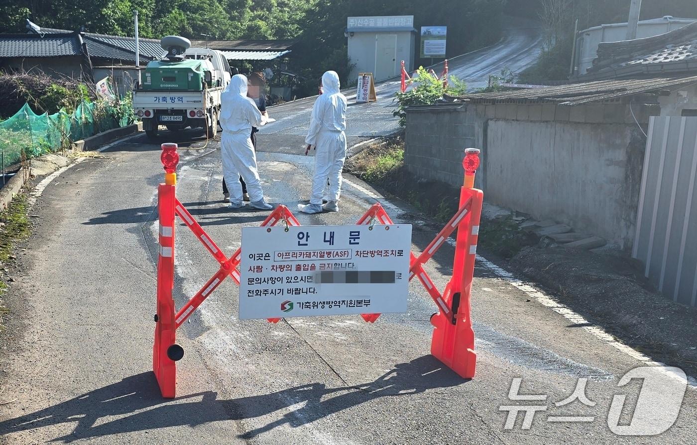 아프리카돼지열병이 확진된 경북 영천 화남면 한 양돈 농가 입구에 16일 오전 바리게이트가 쳐지고 출입이 통제되고 있다. &#40;독자 제공&#41; / 2024.6.16/뉴스1 ⓒ News1 정우용 기자