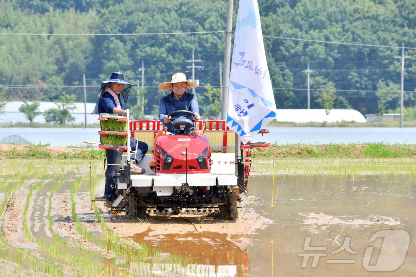 이병노 전남 담양군수가 통일쌀 모내기 행사에서 직접 이앙기를 몰고 모를 옮겨 심고 있다.&#40;담양군 제공&#41;2024.6.24./뉴스1