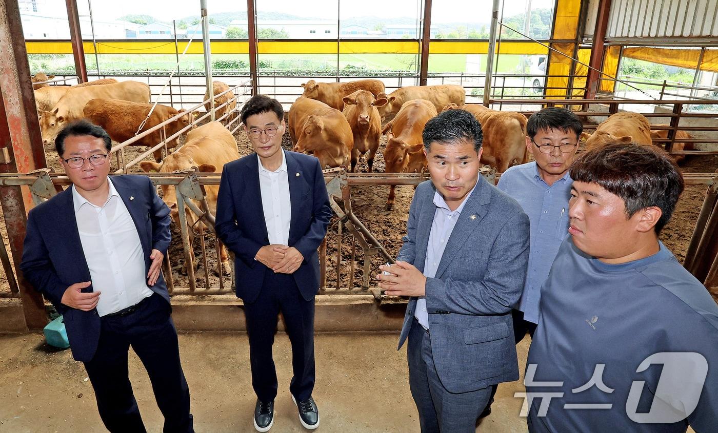 국회 농림축산식품해양수산위원회 더불어민주당 문대림 의원&#40;왼쪽부터&#41; 문금주 의원, 이원택 의원, 서삼석 의원이 24일 오후 경기 김포시에 위치한 한우농가를 방문해 농장주와 대화를 나누고 있다. 최근 러시아와 우크라이나 전쟁 등의 영향으로 사룟값이 급등하면서 한우 한마리당 최대 200만원 정도의 손실이 발생하는 등 한우농가의 시름이 깊어지고 있다. 2024.6.24/뉴스1 ⓒ News1 장수영 기자