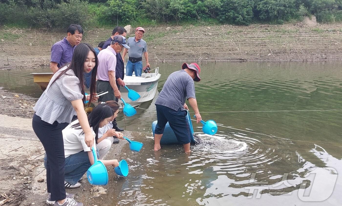 보은군 관계자들이 회남면 대청호 일원에 뱀장어 치어를 방류하고 있다. &#40;보은군 제공&#41; /뉴스1  