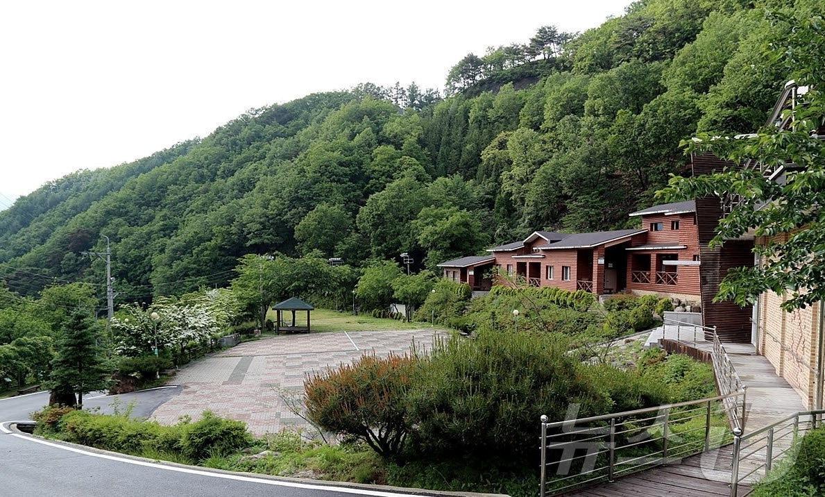  28일 충북 영동군은 민주지산 자연휴양림 이용 활성화를 위해 할인 혜택을 확대한다고 밝혔다. 사진은 민주지산 자연휴양림.&#40;영동군 제공&#41;2024.6.28/뉴스1