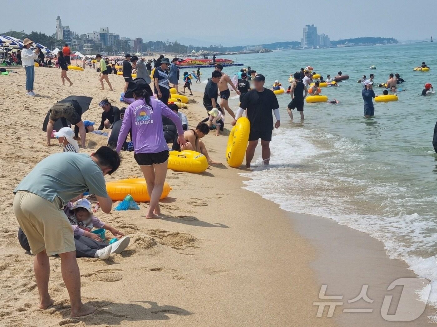 지난달 29일 개장한 강원 강릉 경포해수욕장을 방문한 피서객들이 물놀이를 즐기고 있다.  2024.6.29/뉴스1 ⓒ News1 윤왕근 기자