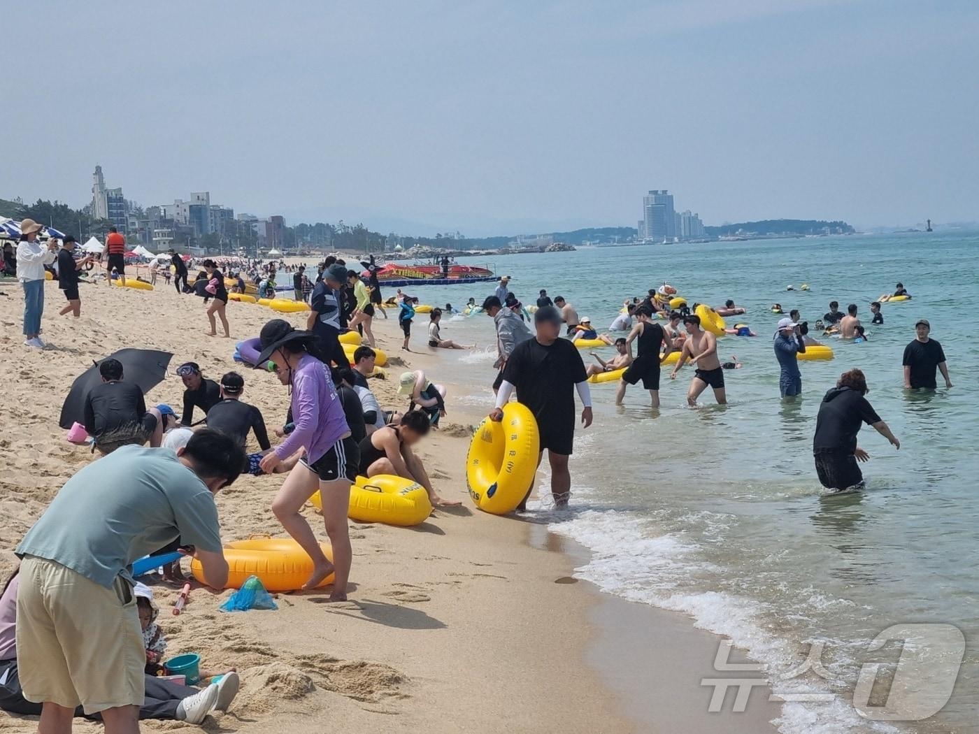 29일 개장한 강원 강릉 경포해수욕장을 방문한 피서객들이 물놀이를 즐기고 있다. 이날 개장한 경포해수욕장은 8월 25일까지 운영된다. 2024.6.29/뉴스1 ⓒ News1 윤왕근 기자