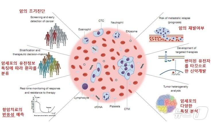 액체생검&#40;혈중암세포&#41; 기반 유전자 검사기술의 적용 범위. &#40;인제대 제공&#41;/뉴스1
