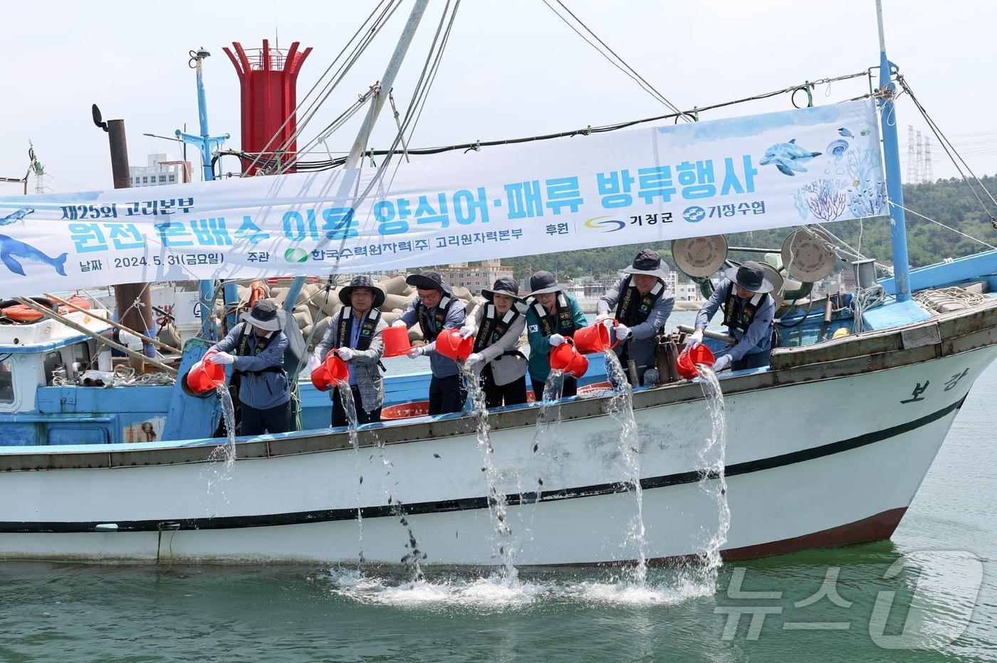 고리원자력본부가 부산시 기장군 장안읍 월내항에서 ‘원전 온배수 이용 양식 어패류 방류행사’를 열고 강도다리 치어 3만 미와 전복치패 2만 미를 방류하고 있다&#40;고리원전 제공&#41;