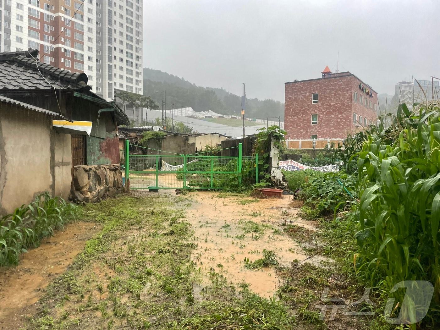 전날부터 내린 비로 인해 광주 북구의 한 주택에 토사가 일부 들어와 있다.&#40;광주 북구청 제공&#41; 2024.6.30/뉴스1