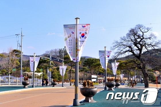 고창군이 호국보훈의 달을 맞아 태극기 달기와 함께 국가유공자와 보훈 가족에게 존경과 감사의 마음을 전하는 다채로운 보훈 행사를 개최한다.&#40;뉴스1/DB&#41;