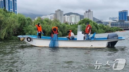 지난해 동남참게 방류 현장&#40;부산시청 제공&#41;