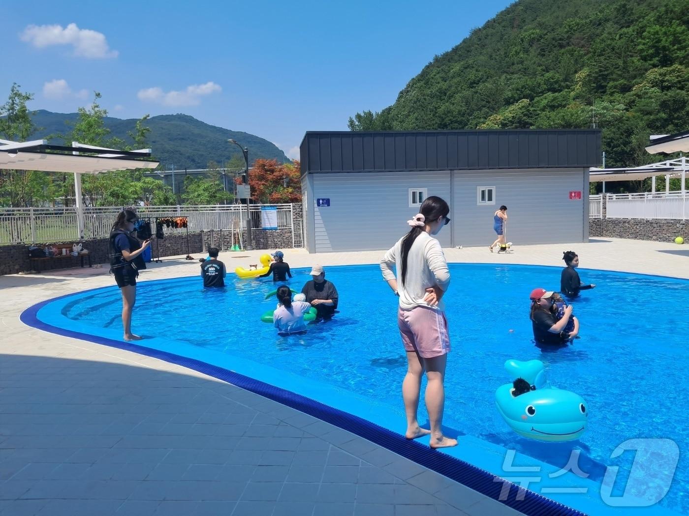 밀양 반려동물지원센터가 운영하는 션샤인 테마파크 내 반려견 동반 수영장 모습.&#40;밀양시 제공&#41;