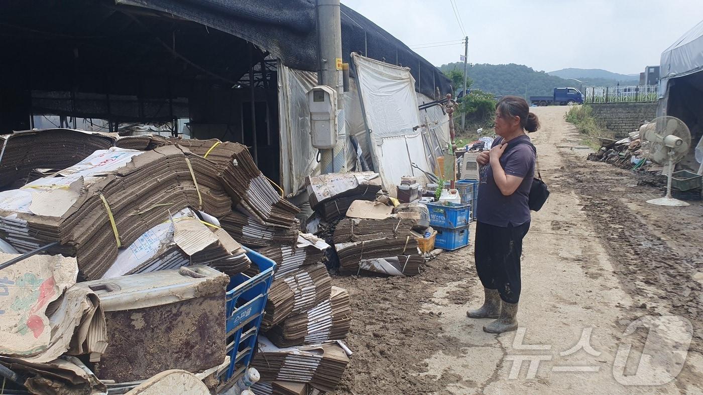 12일 오후 대전 서구 정뱅이마을에서 한 농민이 무너진 비닐하우스를 보고 있다. 2024.7.12./뉴스1 ⓒNews1 허진실 기자 