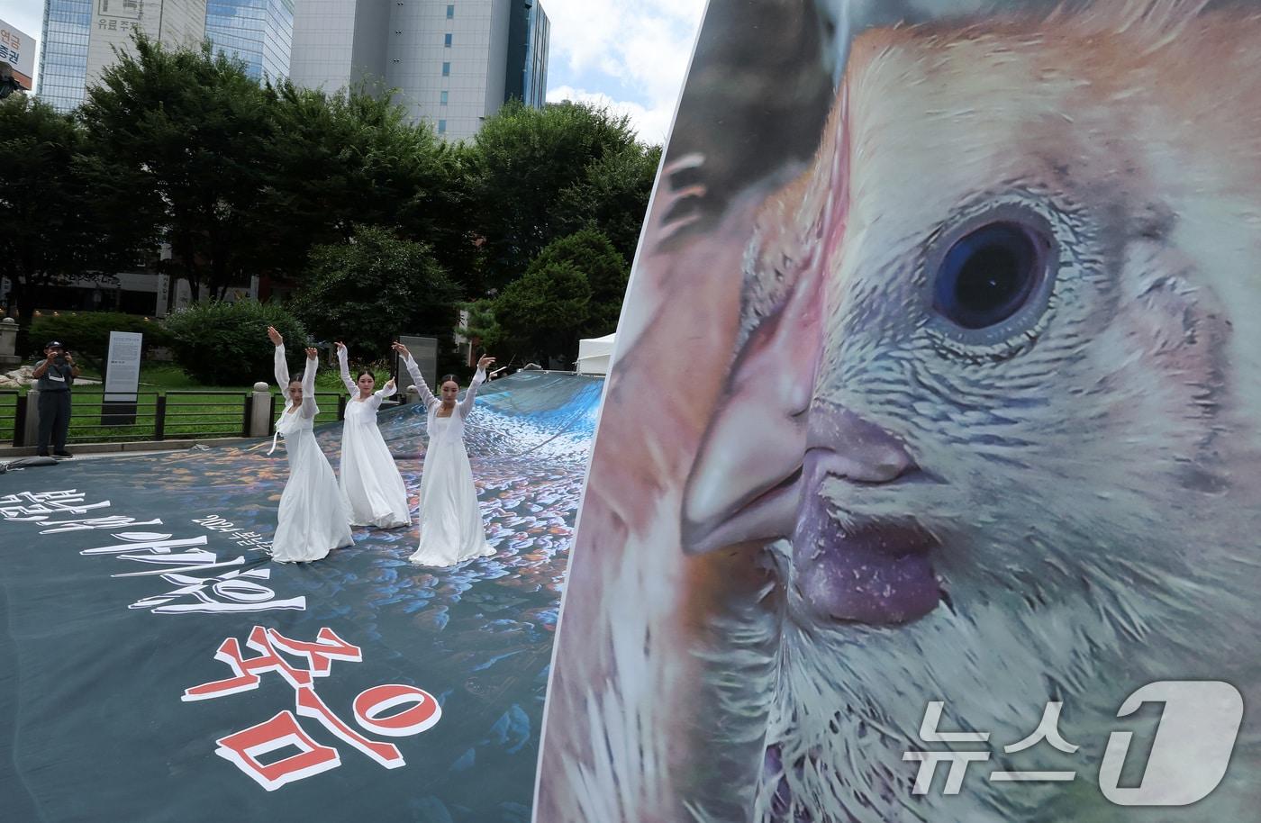 초복인 15일 서울 종로구 보신각 앞에서 열린 &#39;2024 복날추모행동&#39;에서 죽어간 닭들을 애도하는 진혼무 공연이 펼쳐지고 있다. 2024.7.15/뉴스1 ⓒ News1 이동해 기자