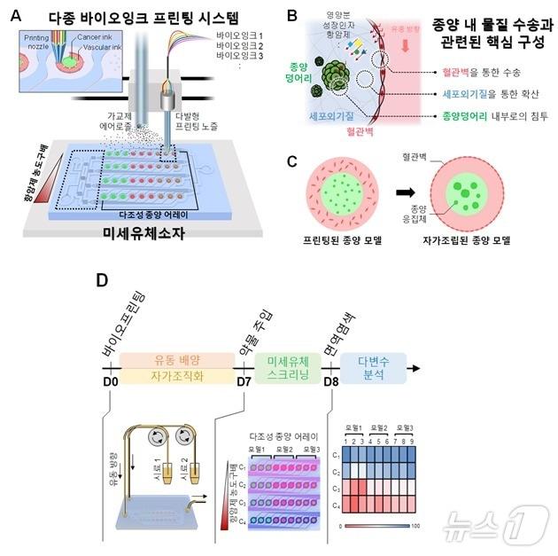 랩온어칩 종양 모델에서의 항암제 효능 평가 기술 개략도. &#40;KAIST 제공&#41;/뉴스1