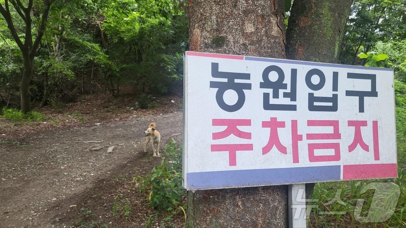 대구 수성구 대구스타디움 공원 인근에서 통장인 A 씨가 운영하는 염소농장 입구에 &#39;주차금지&#39; 팻말이 세워져 있다.2024.7.22/뉴스1 ⓒ News1 이성덕 기자