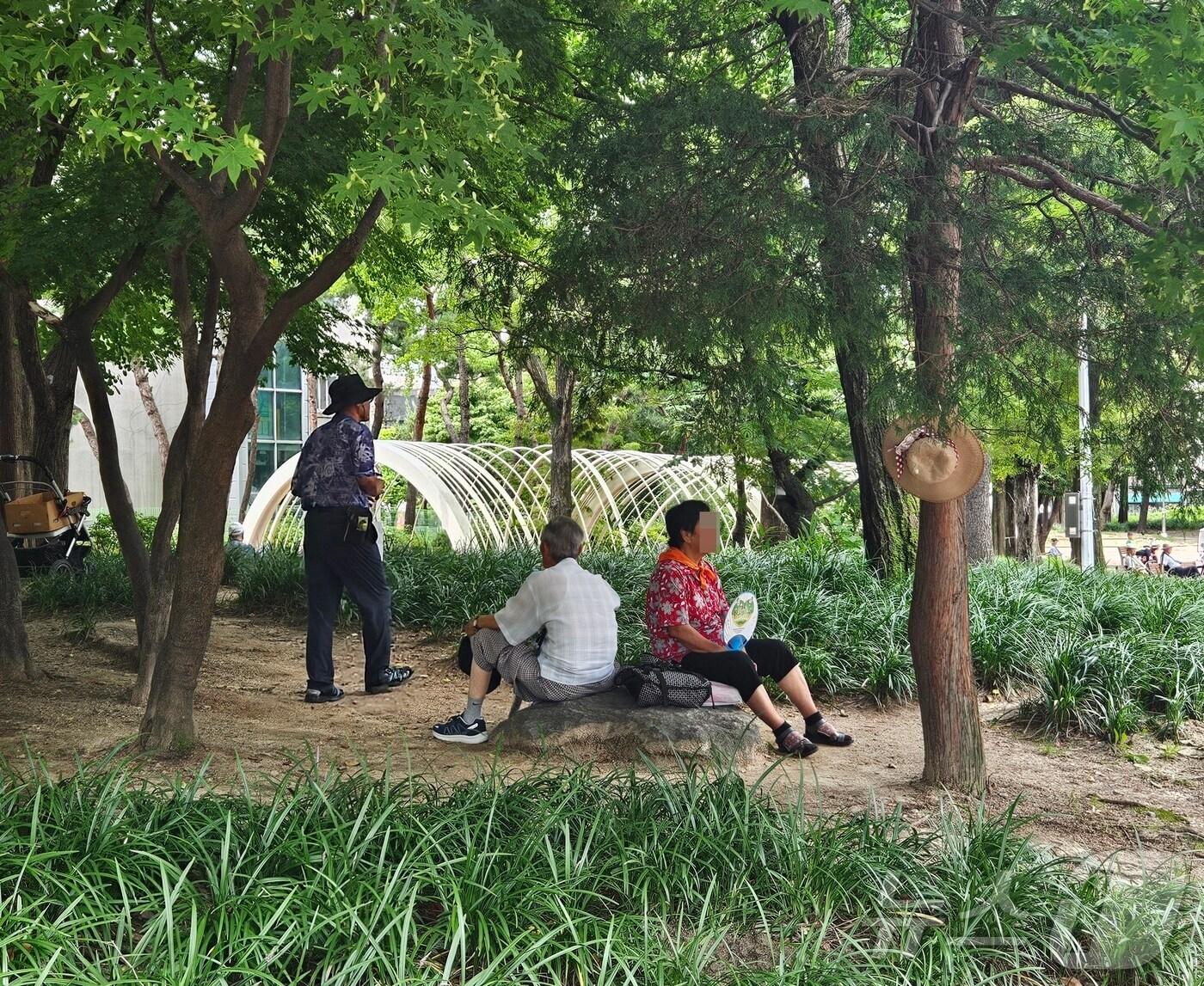 절기상 더위가 가장 심하다는 대서&#40;大暑&#41;인 22일 청주 중앙공원에서 노인들이 더위를 식히려 부채질을 하고 있다.2024.7.22/뉴스1 이재규 기자 