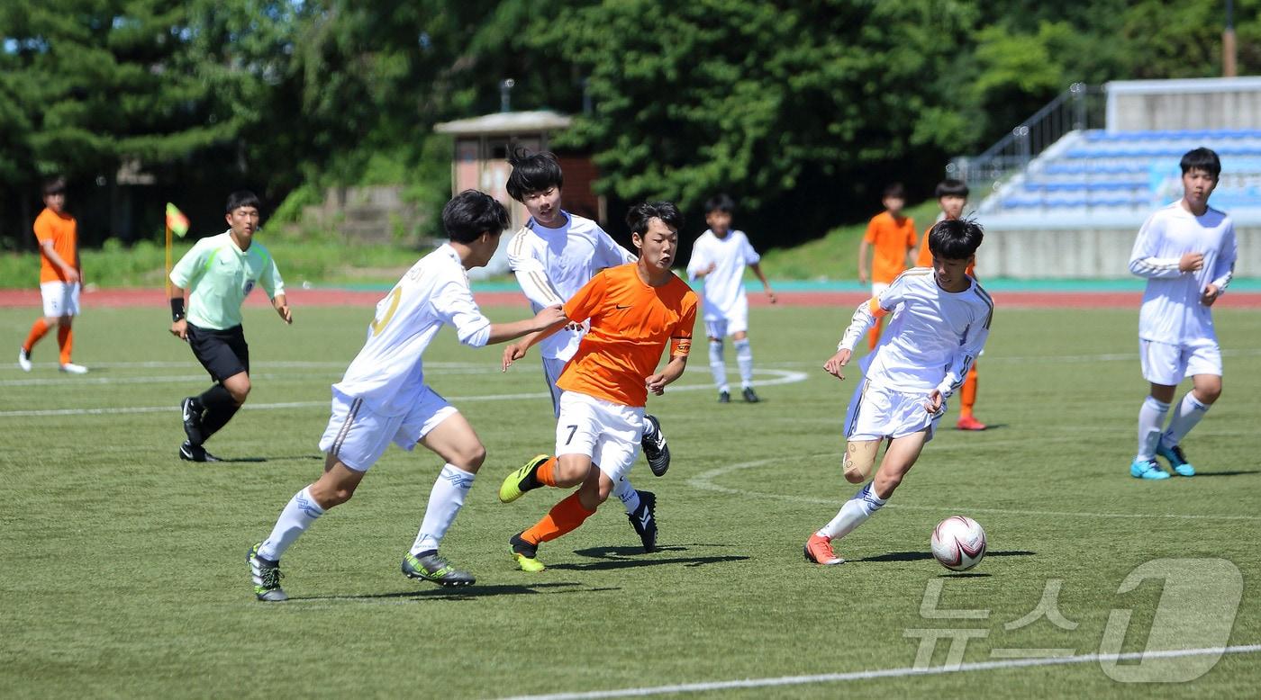 축구 페스티벌.&#40;인제군 제공&#41;/뉴스1