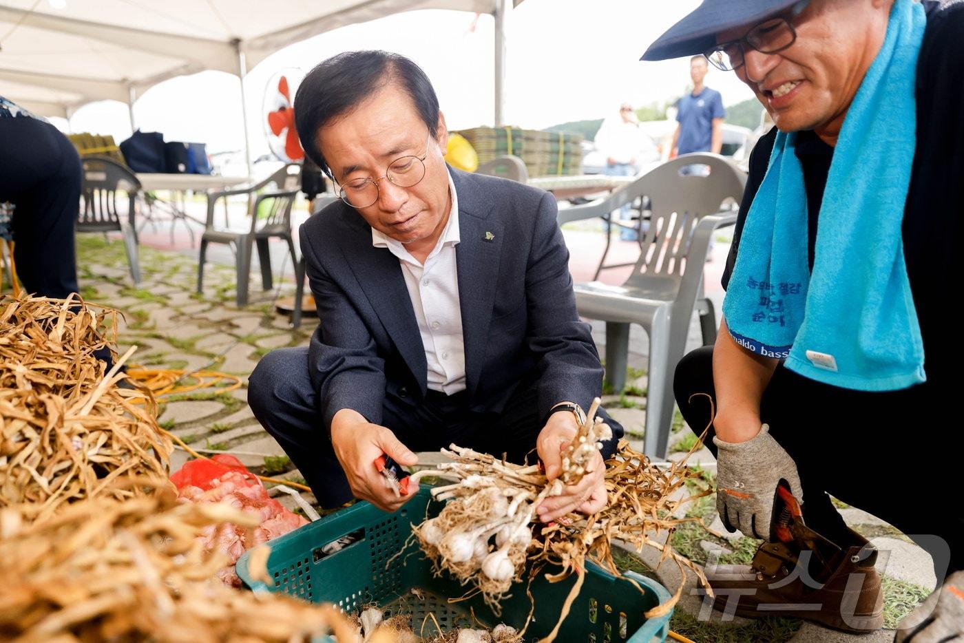 김문근 단양군수가 축제장 직거래장터에서 판매하는 단양마늘을 살펴보고 있다.2024.7.23/뉴스1