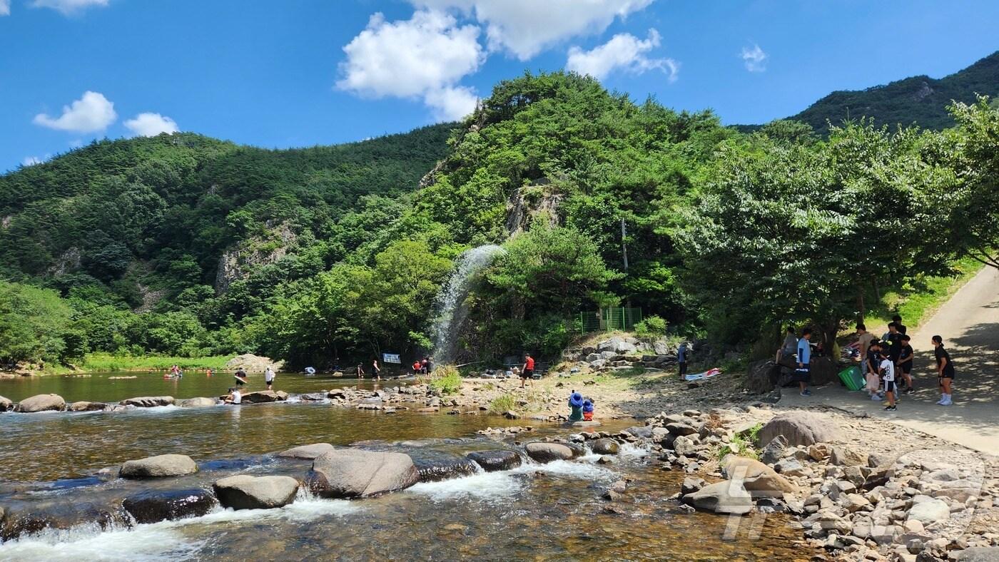 보은군 속리산면 서원계곡 &#40;보은군 제공&#41; /뉴스1