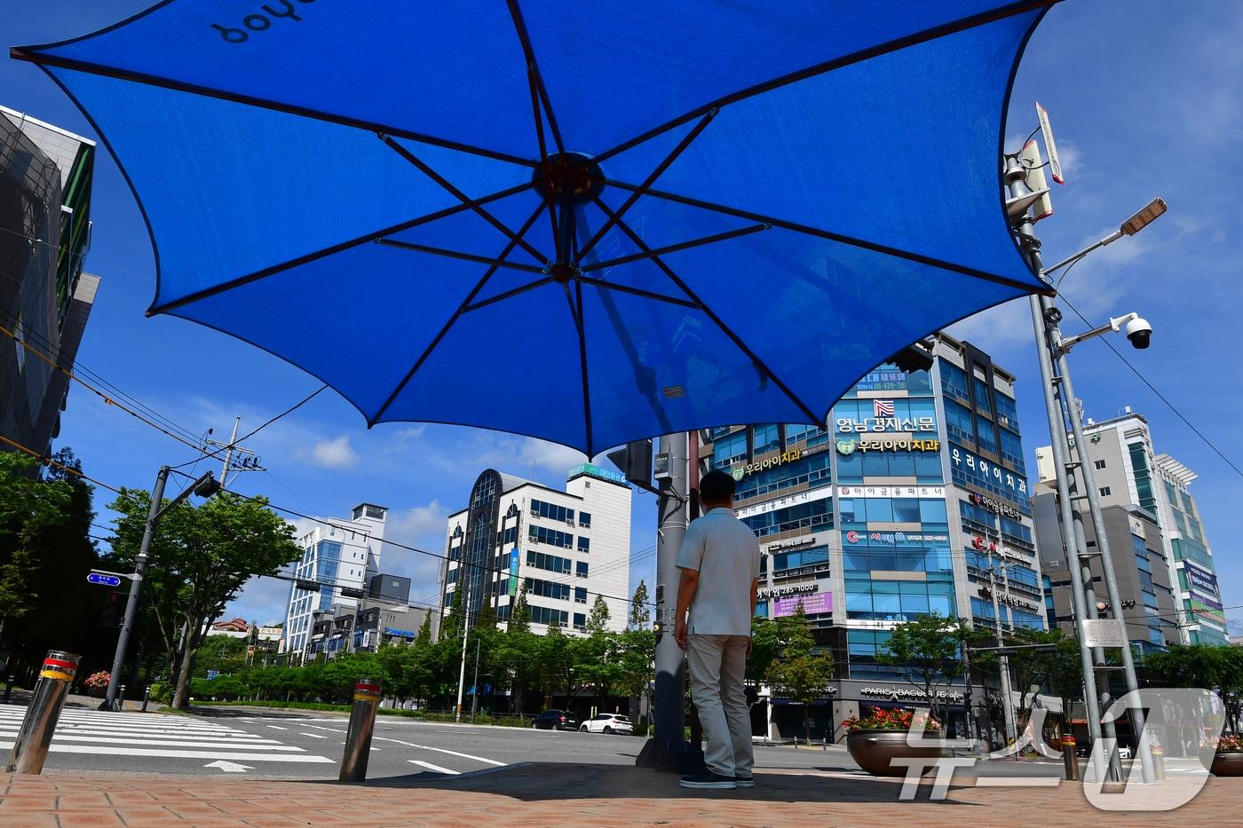 경북 포항시 전역에 폭염특보가 발령 중인 25일 포항시청 앞 횡단보도에 설치된 그늘막 아래에서 시민이 뜨거운 햇볕을 피하고 있다. 2024.7.25/뉴스1 ⓒ News1 최창호 기자