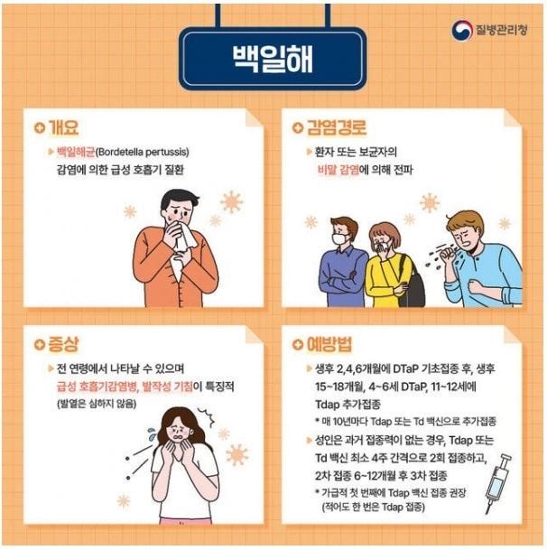 백일해 예방 포스터&#40;경기 양평군 제공&#41;/.뉴스1 