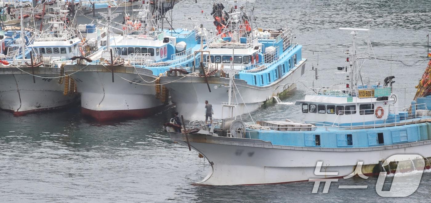 제주 서귀포항 어선들&#40;사진은 기사 내용과 관련 없음&#41;. 2024.7.25/뉴스1 ⓒ News1 오현지 기자