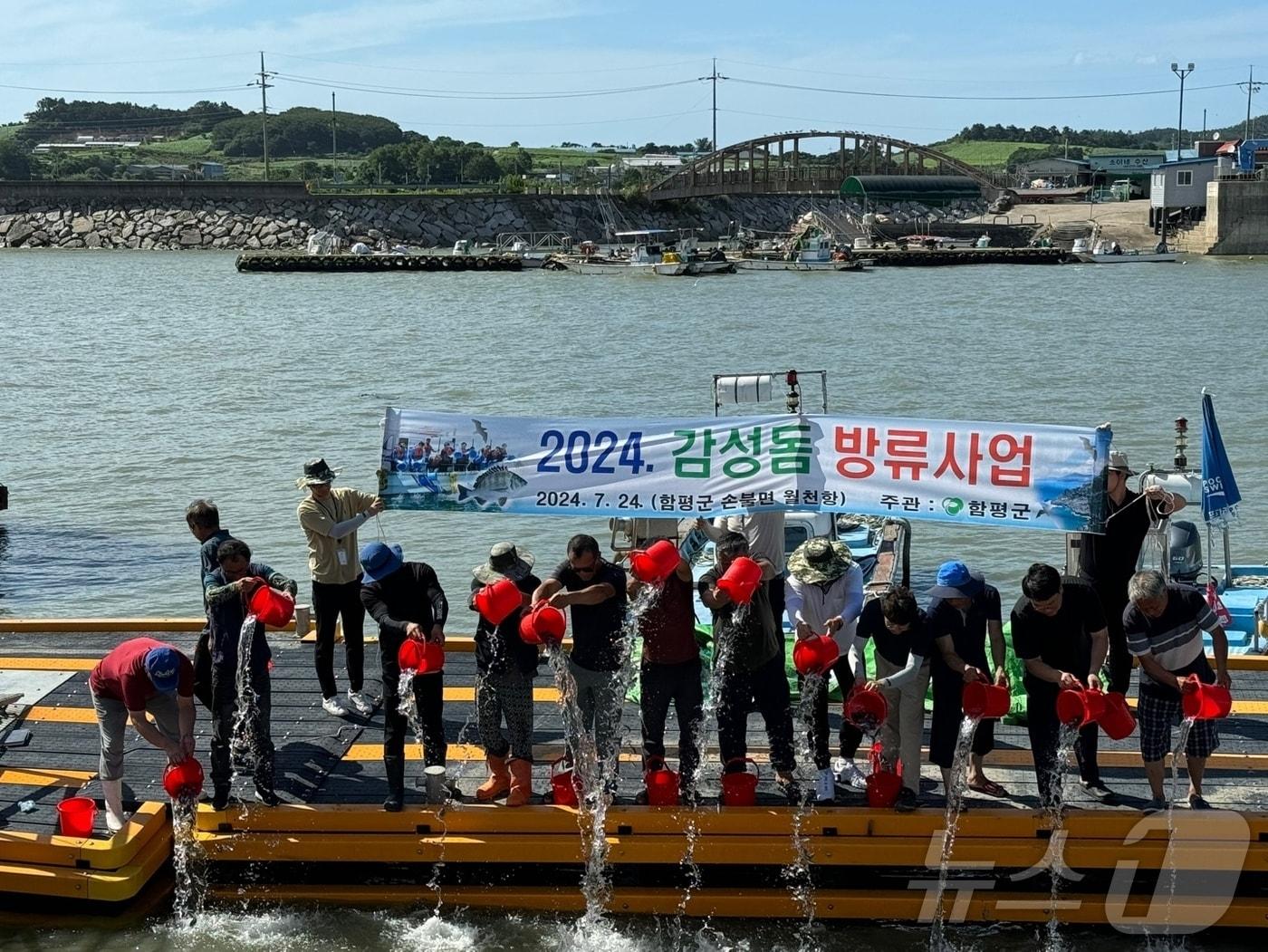 전남 함평군이 24일 감성돔 치어 20만마리를 월천항 일대에서 방류하고 있다.&#40;함평군 제공&#41;2024.7.25./뉴스1