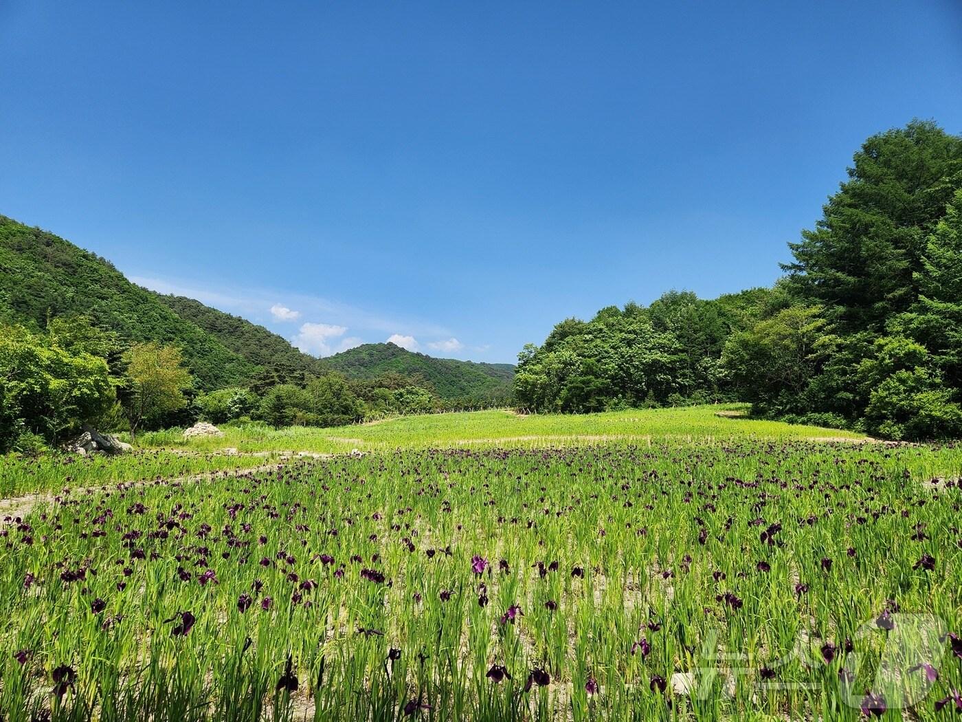 국립자생식물원 전경&#40;산림청 제공&#41;/뉴스1 