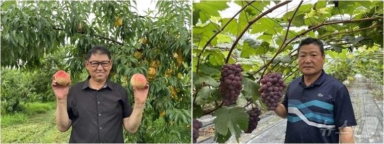 옥천군 복숭아왕 장현철 씨&#40;왼쪽&#41;과 포도왕 이상인 씨&#40;옥천군 제공&#41; /뉴스1 