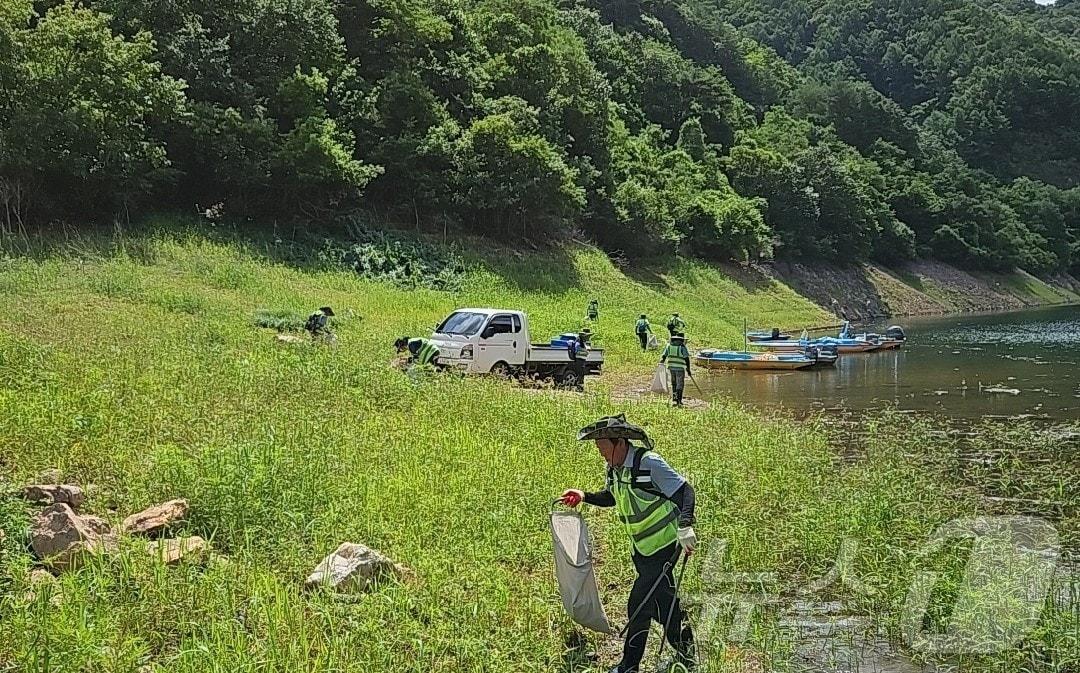 하천변 쓰레기수거.&#40;양구군 제공&#41;/뉴스1